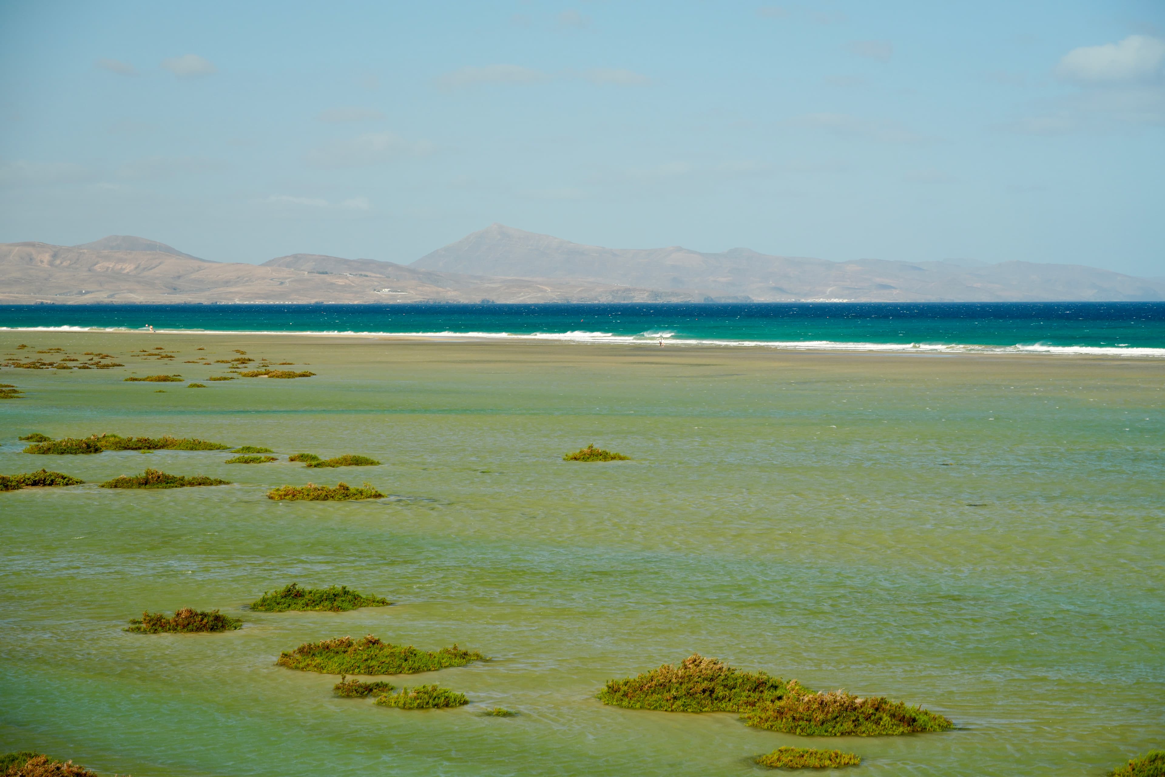 Southern lagoon, Fuerteventura